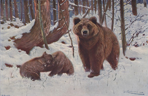 Brown Bear and Cubs